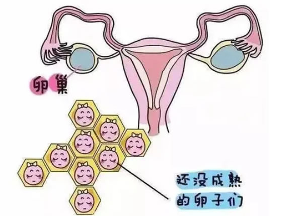 孕妇咳嗽怎么治疗好？如何预防孕妇咳嗽？